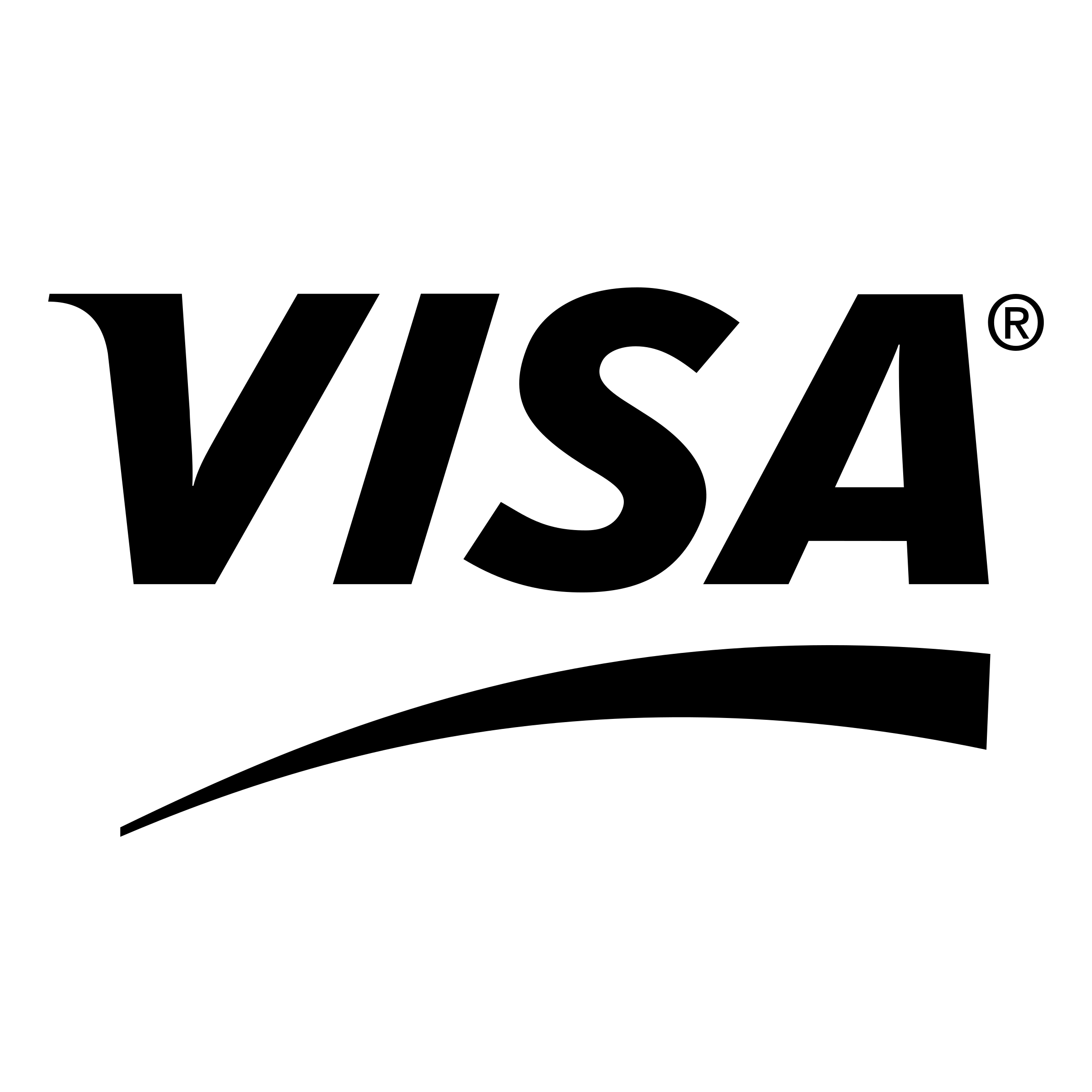 Visa Icon